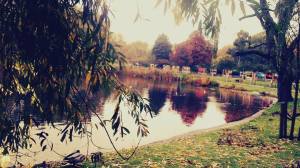 10743474_10202822462271238_1926959813_n