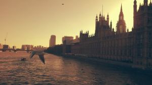 10754985_10202822513912529_1048760516_n