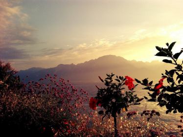 1184977_10200437114319030_951218409_n