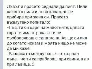 1474710_10200999357134749_1643141614_n